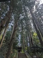 369の画像