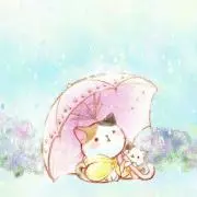 かよん