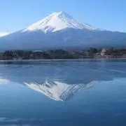 ぴょん吉