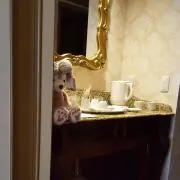 ゆう