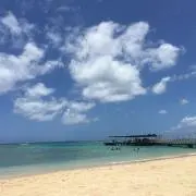 jarvisの画像