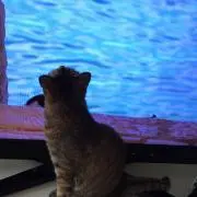 kate♡プロフ必読！！の画像