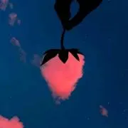いちごの画像