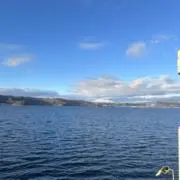 ミカツキ（値下げ可能）