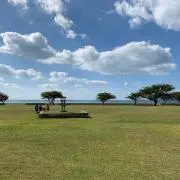 conaの画像