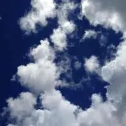 Chiki＊プロフィール必読＊の画像