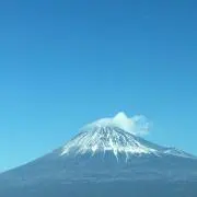 はなの画像