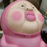いずみの画像