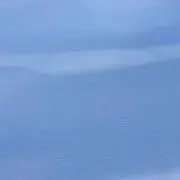 ハスキーの画像