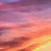 たまごの画像