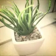 piano♪の画像