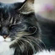 きらら⭐️プロフ必読お願いします❣️の画像