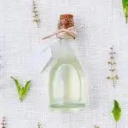teatreeの画像