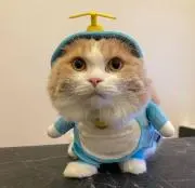 ナナティ