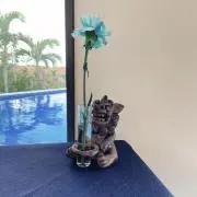 しーさーの画像
