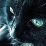 GAMI