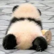 み