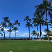 はなゆ