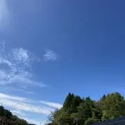 だいこん☆プロフ必読の画像