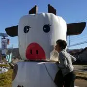 hidebowの画像