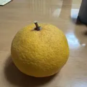 夏みかんの画像
