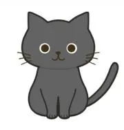 黒猫の画像