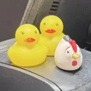 ピヨの画像