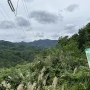 ムーンベアの画像
