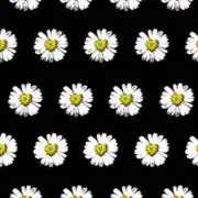 jreeeの画像