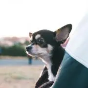 keiの画像