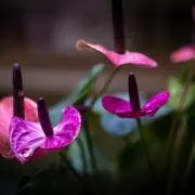 らら♪プロフご確認お願いします。の画像