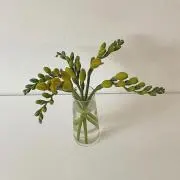 BYの画像
