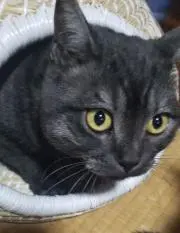 hiroyuki