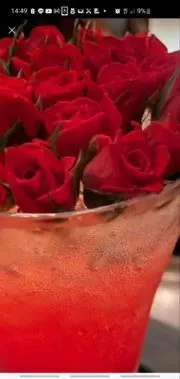モカの画像