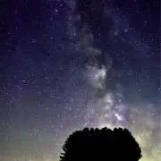 Ibrahimovićの画像