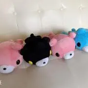 ブーゲンビリアの画像
