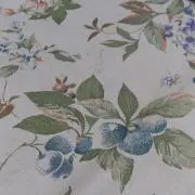 はなもも