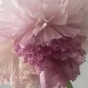 RieeiR@6/20-7/11発送不可の画像