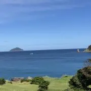 ごまちゃんの画像