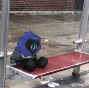 櫂の画像