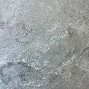 カニエルの画像