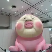 てばさきの画像