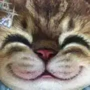 sweet☺︎の画像