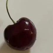 ぴの画像
