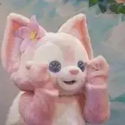 ねねの画像