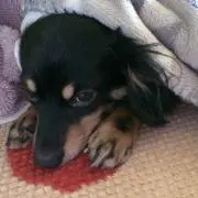 あるくん