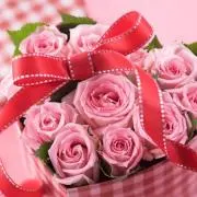 pink rose