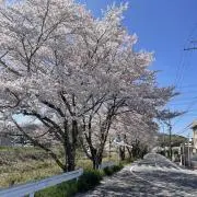 junの画像