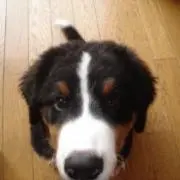 Kimの画像