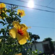 いらぶっぶっ♬